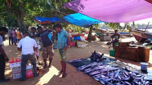 Fishmarket